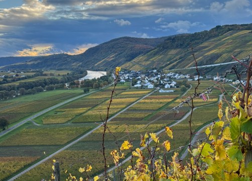 Bio Boutique Hotel Prüm: Weinberge wohin das Auge reicht - Bio Boutique Hotel Prüm, Brauneberg, Mosel, Rheinland-Pfalz, Deutschland