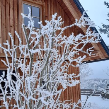 Winter, Ellend Hütte, Preitenegg, Kärnten, Österreich