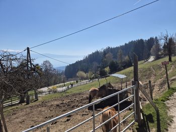 Ferienhaus Reisberg - Kärnten - Österreich