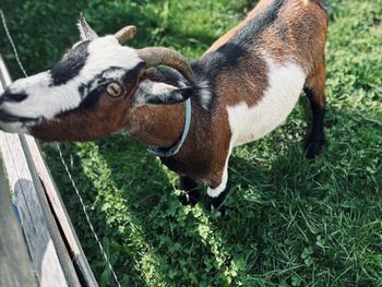 Ferienhaus Reisberg - Kärnten - Österreich