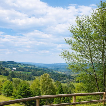 Sommer, Ferienhaus Reisberg, St. Stefan, Kärnten, Österreich