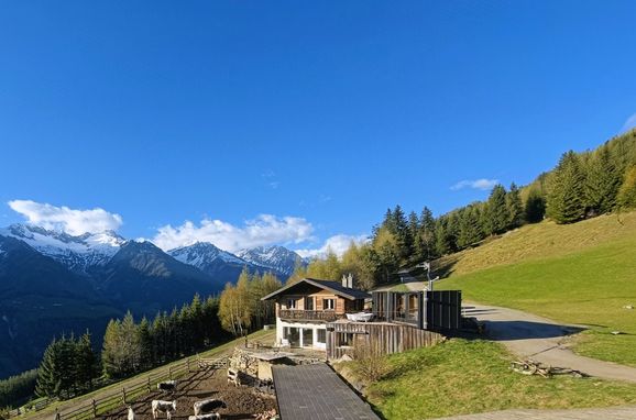 Sommer, Obersteinerhof-Hütte Atelier, Luttach, Trentino-Südtirol, Italien