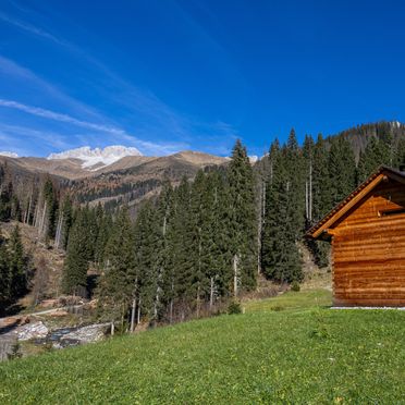 Sommer, Chalet Pian De La Mola, Comelico Superiore (BL), Venetien, Italien