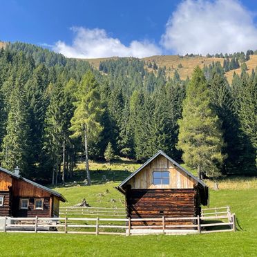 Sommer, Marhütte, Radenthein, Kärnten, Österreich