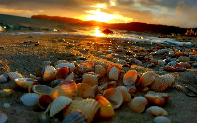 beste Lage direkt am Strand
